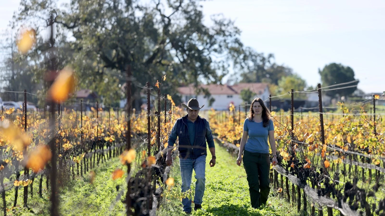 Tierra Roja Vineyards