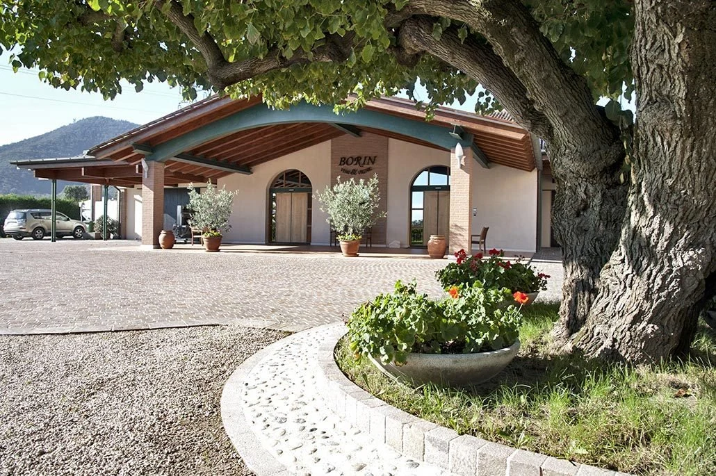 Borin Vini e Vigne