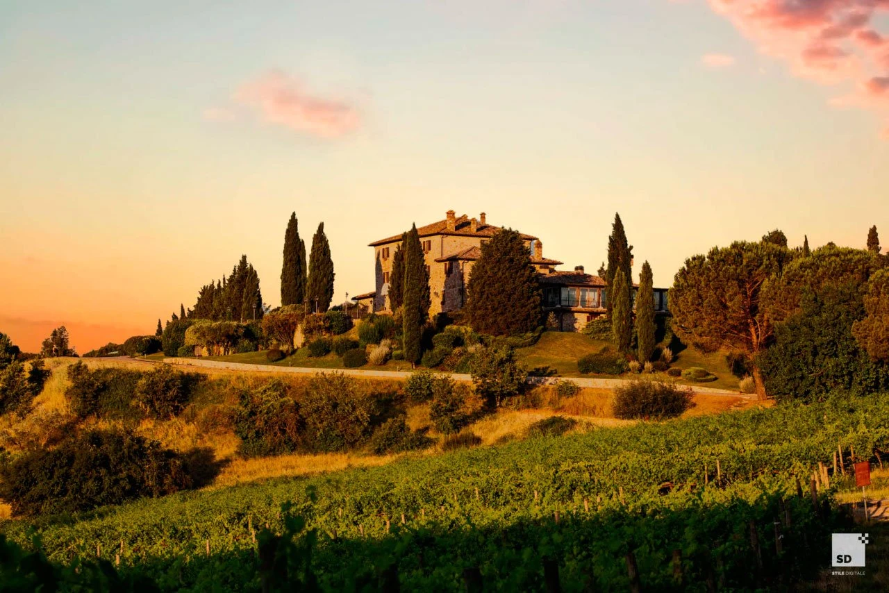 Cantina Todini