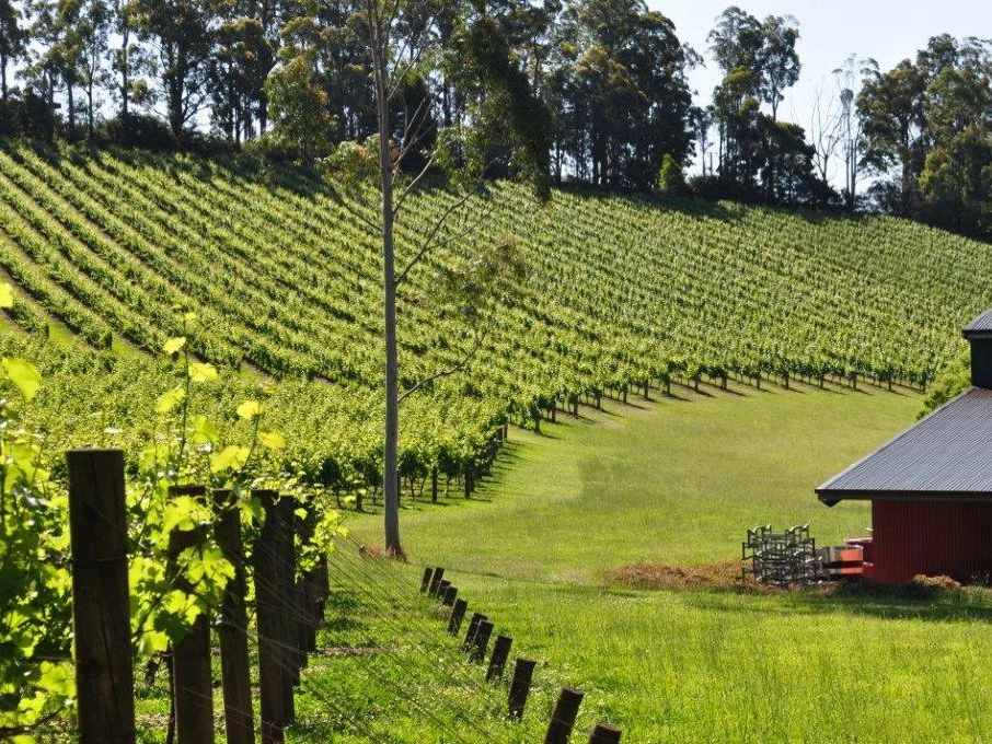 Gembrook Hill
