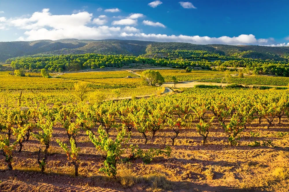 Domaine Py