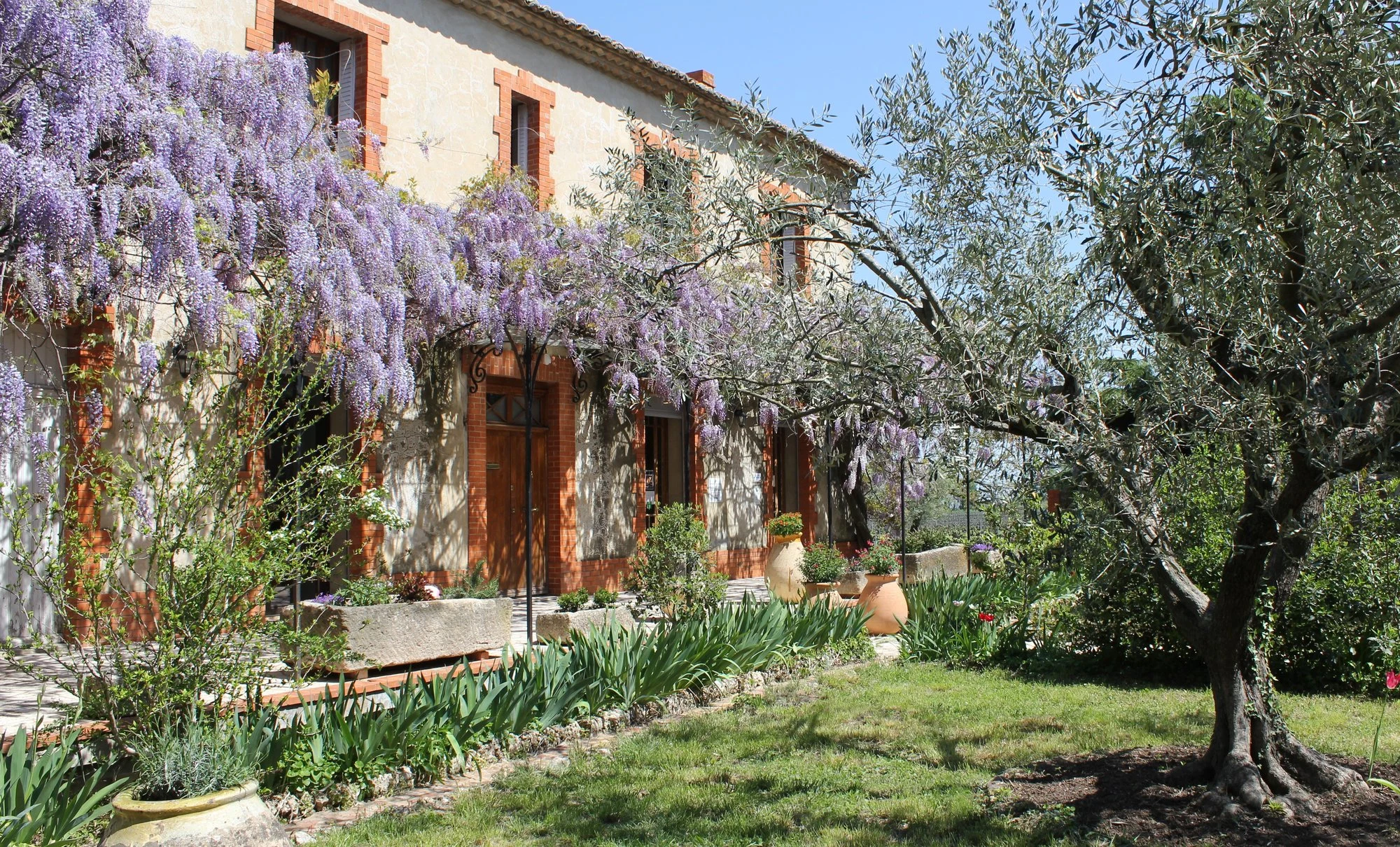 Domaine Pelaquié