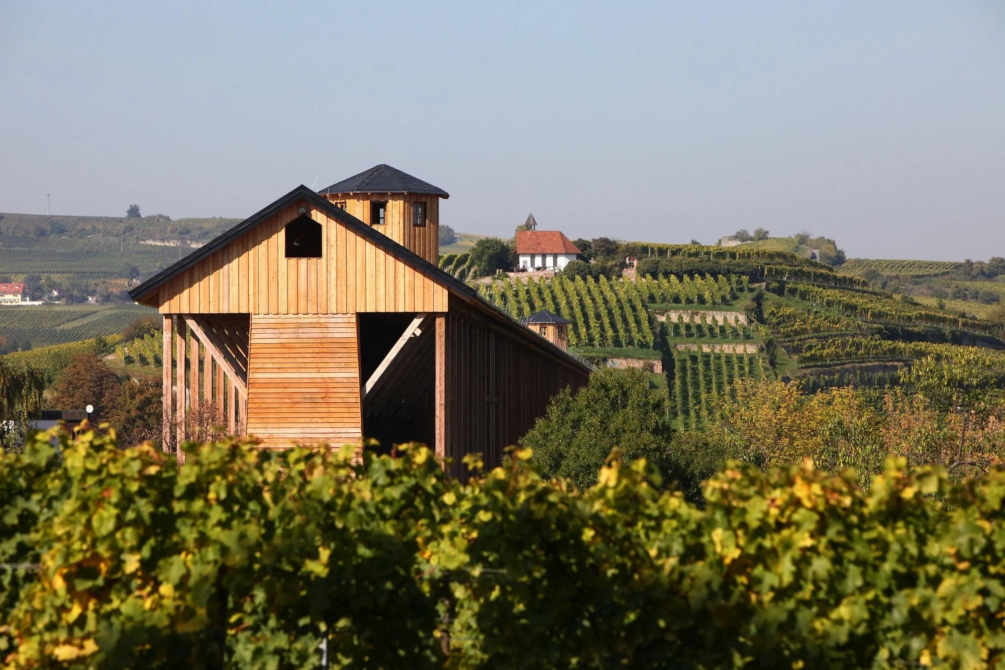 Weingut Darting