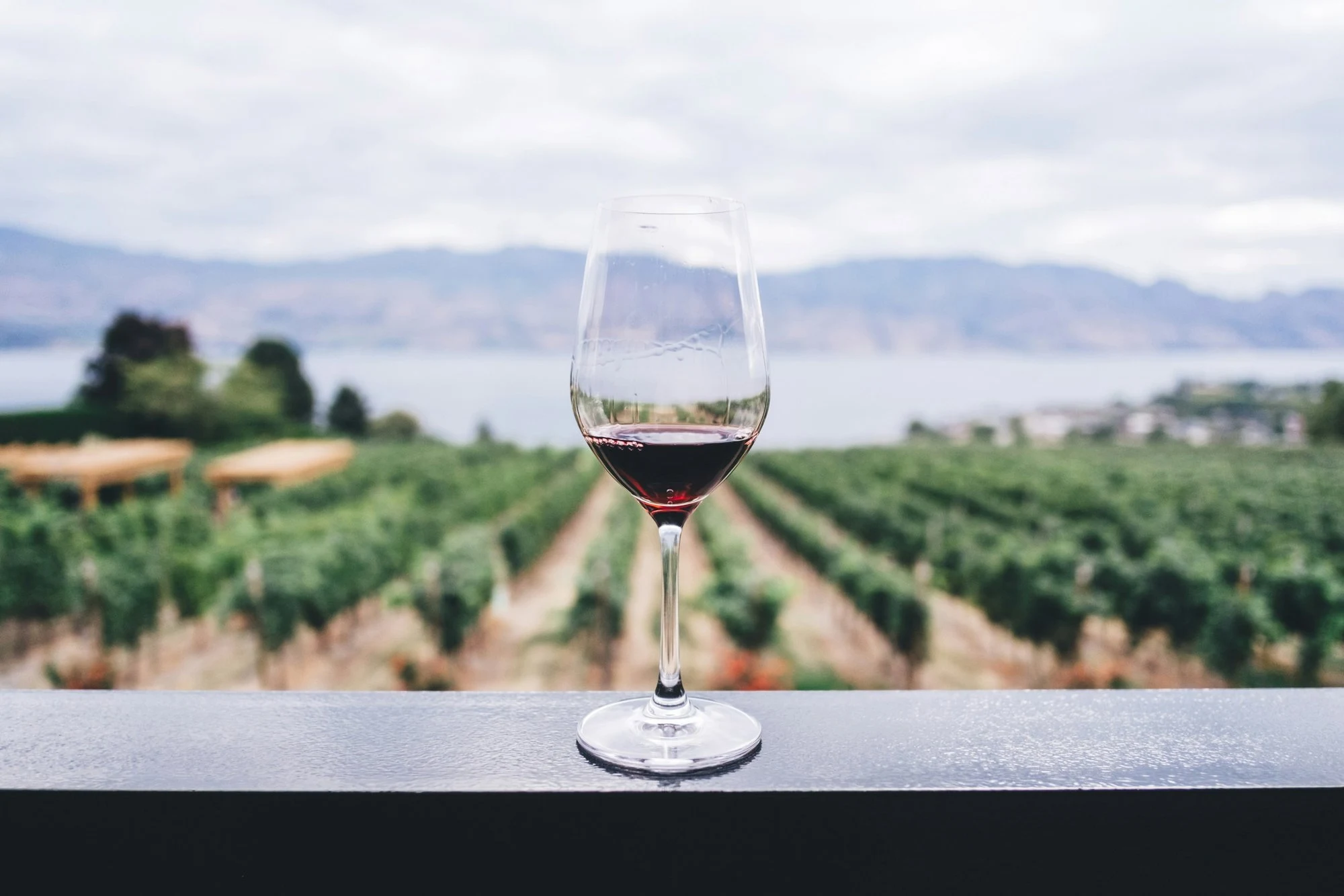 Blackenbrook Vineyard
