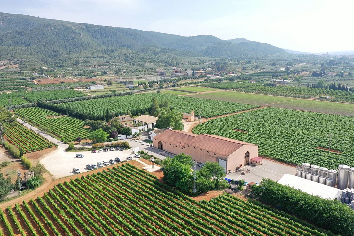 Bodegas Enguera