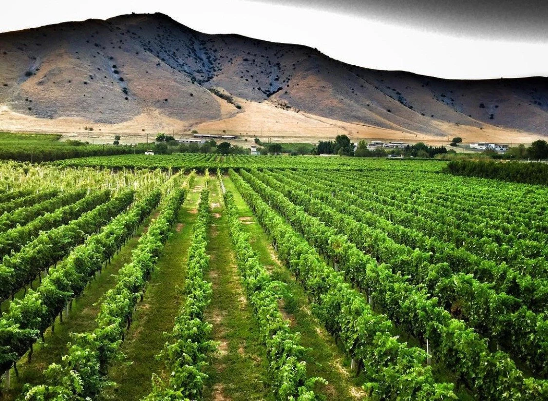 Zafeirakis Winery