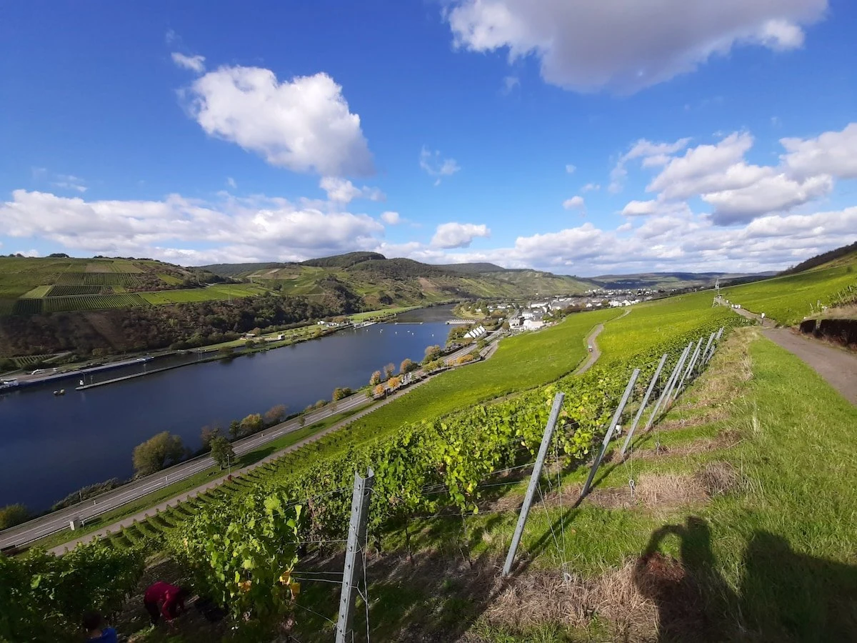 Ackermann ...das Weingut