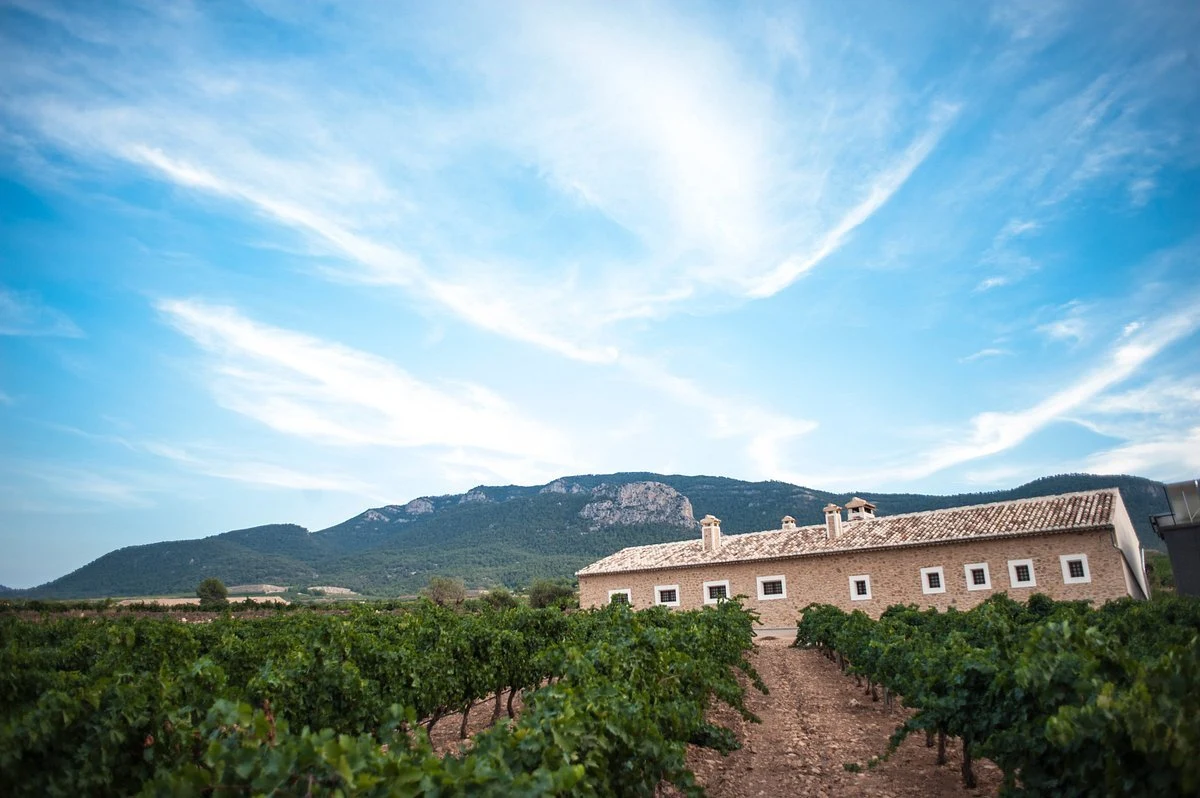 Bodegas Carchelo