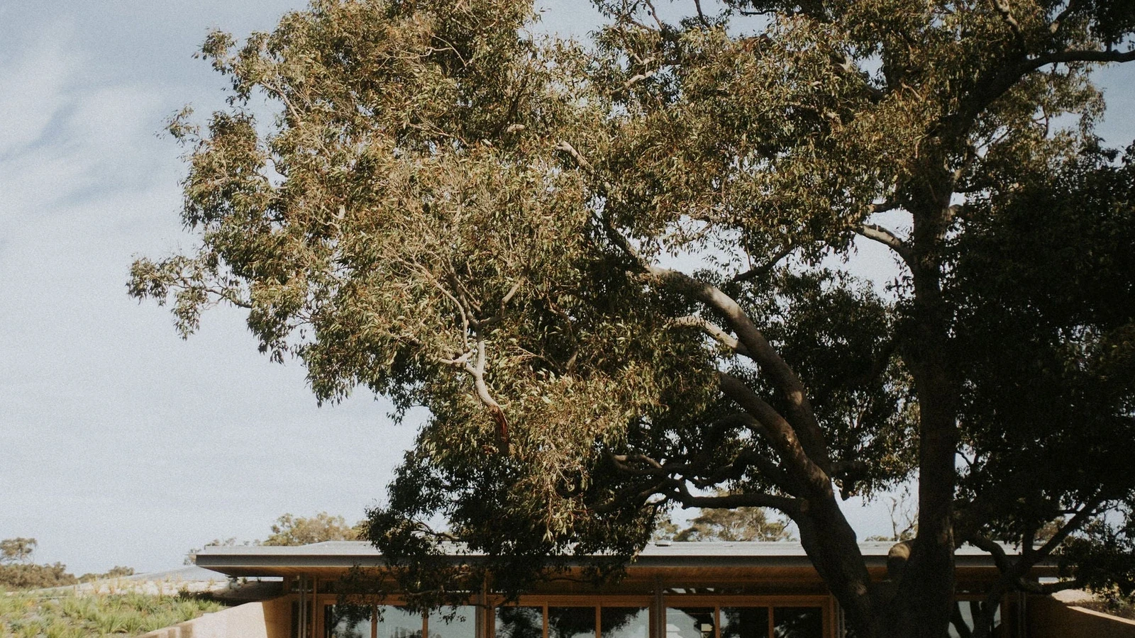 Wayfinder Wines Margaret River Opens Its Farm Restaurant in August