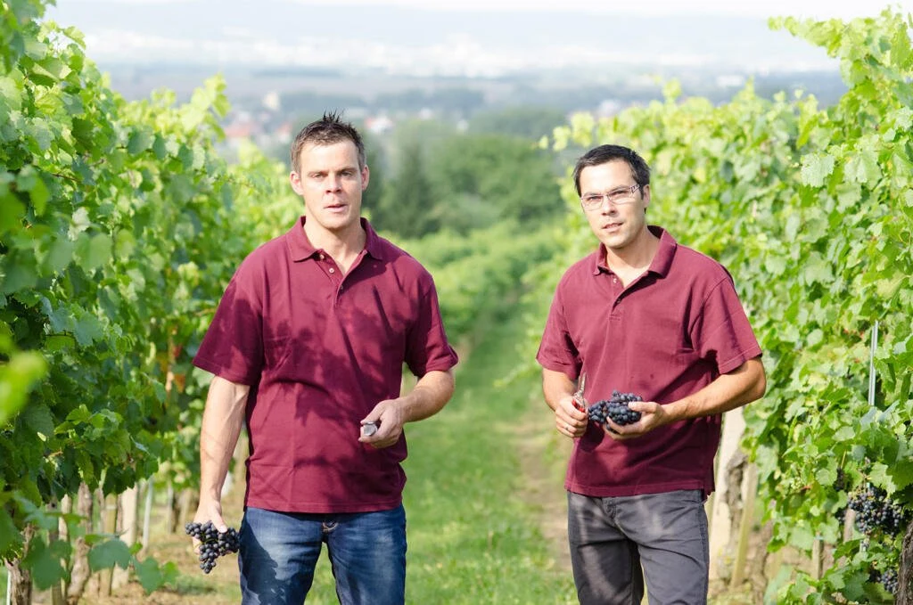 Biowein Klampfer