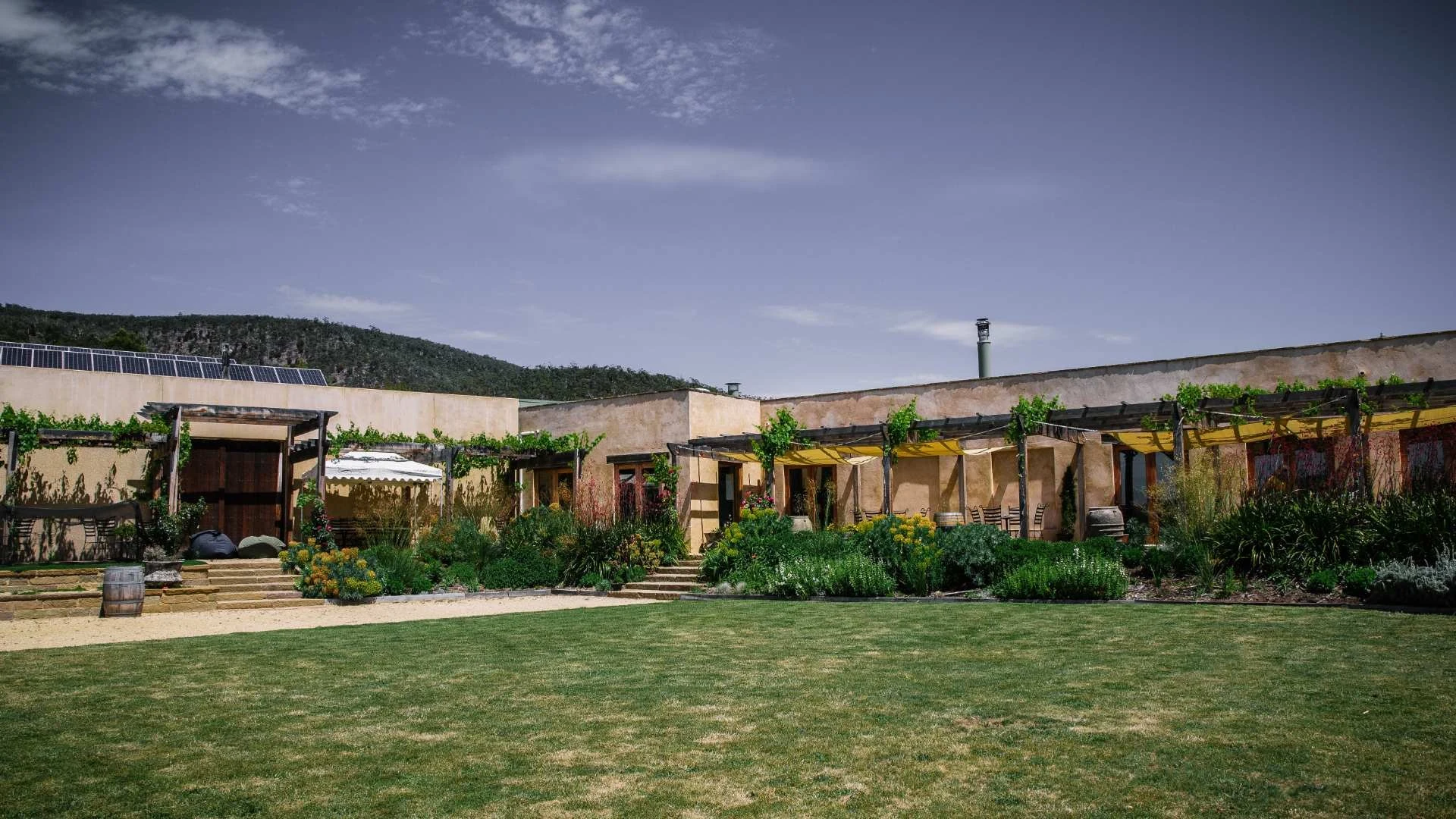 Bellmount Wines