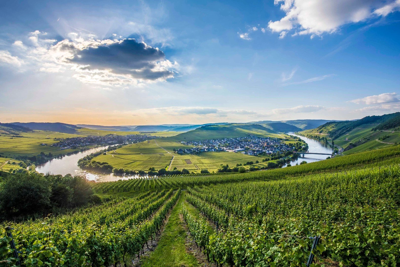 Weingut Lütz