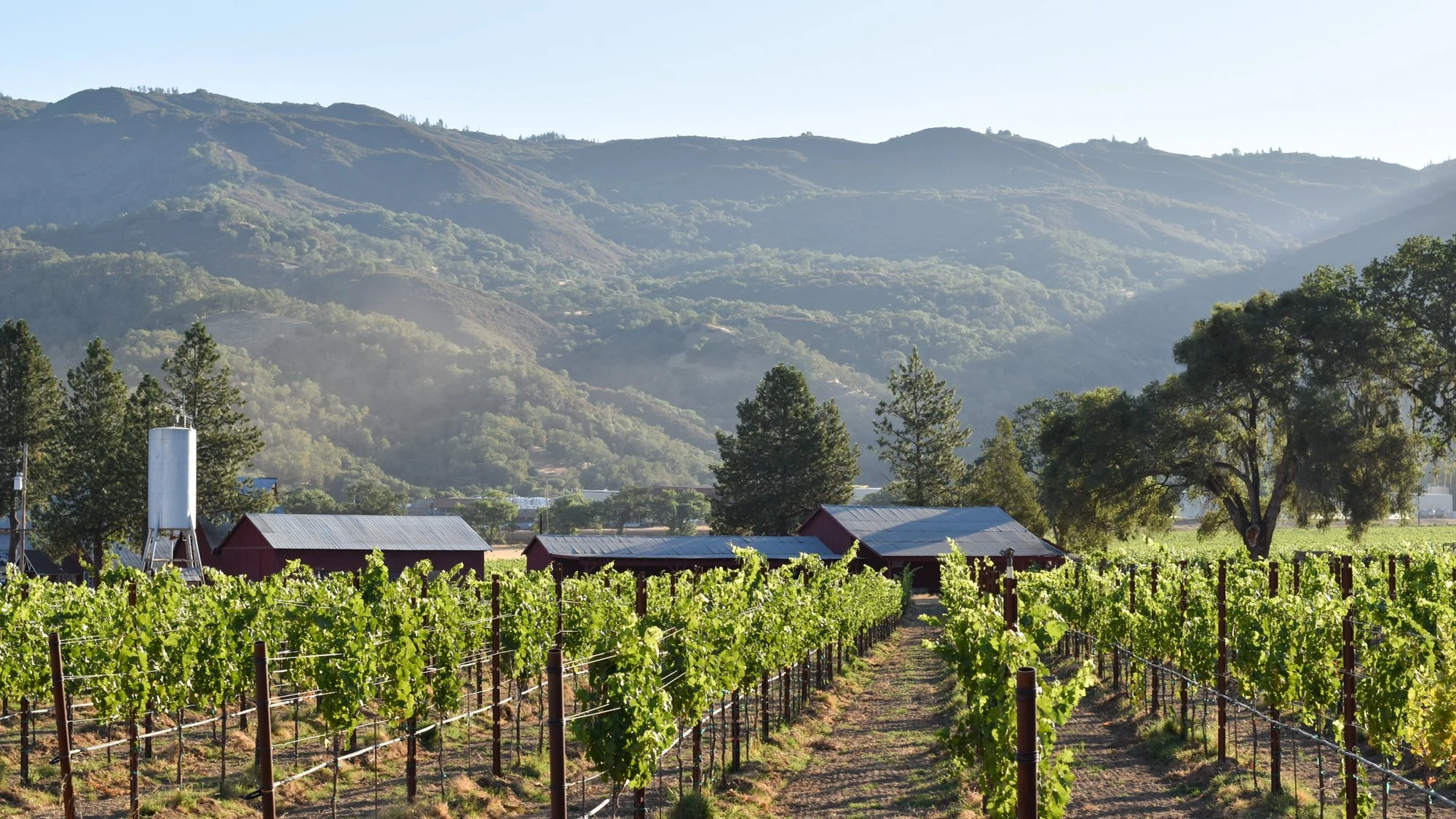 McDowell Valley Vineyards