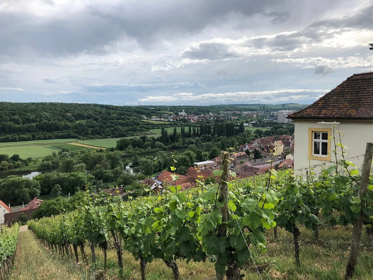 Bio-Weingut Laudens Bach
