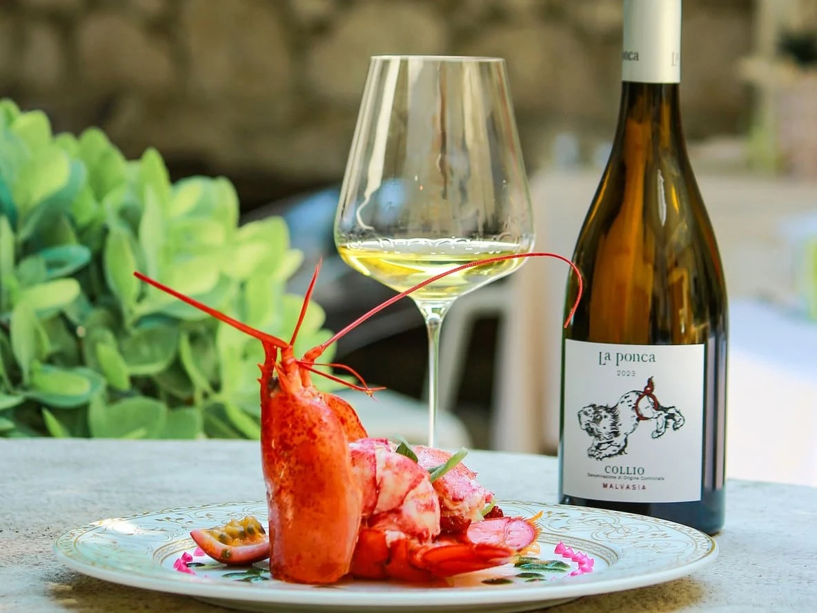 La ponca malvasia friulana with lobster, a perfect summer pairing.