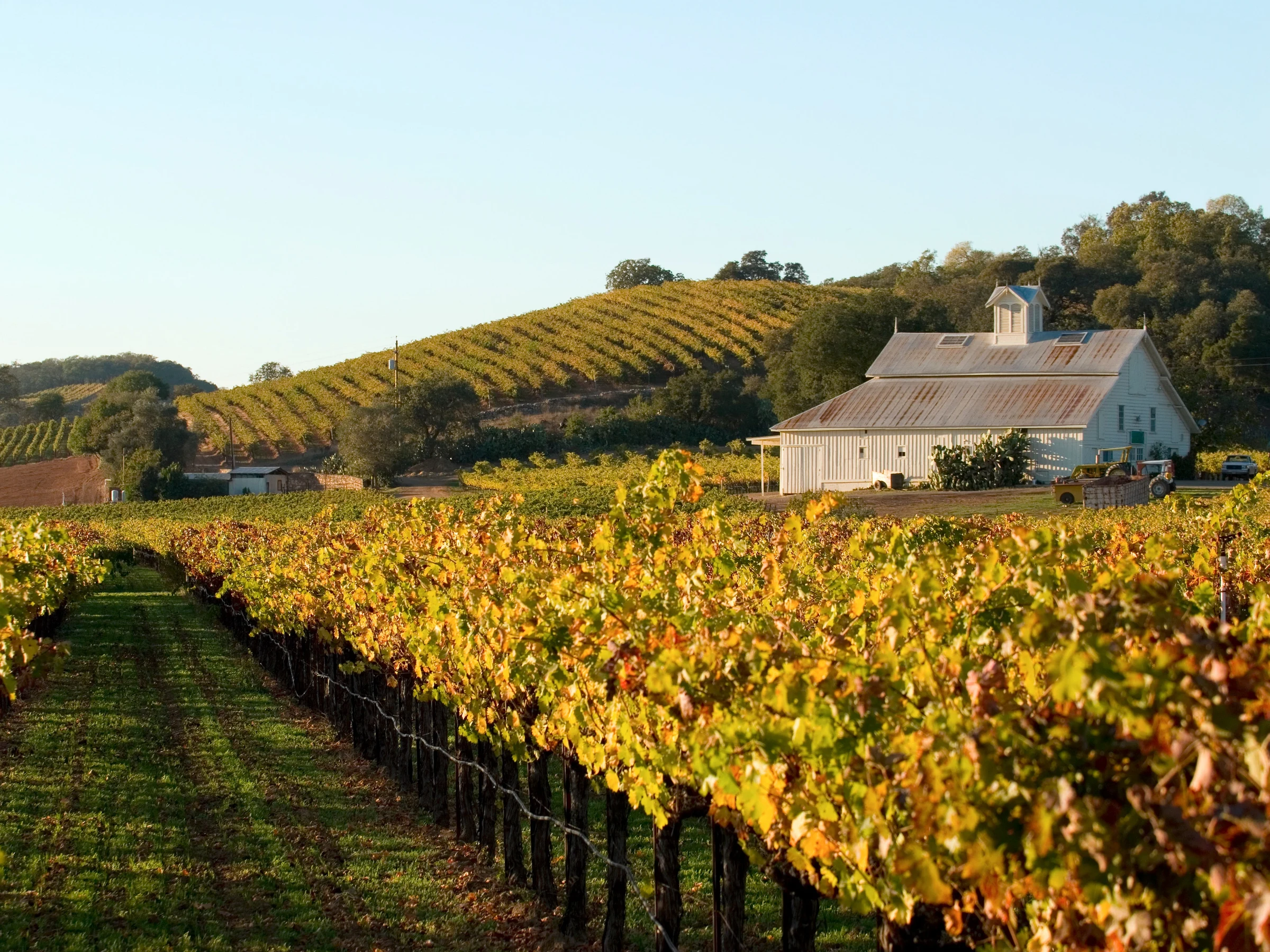 Dunn Vineyards