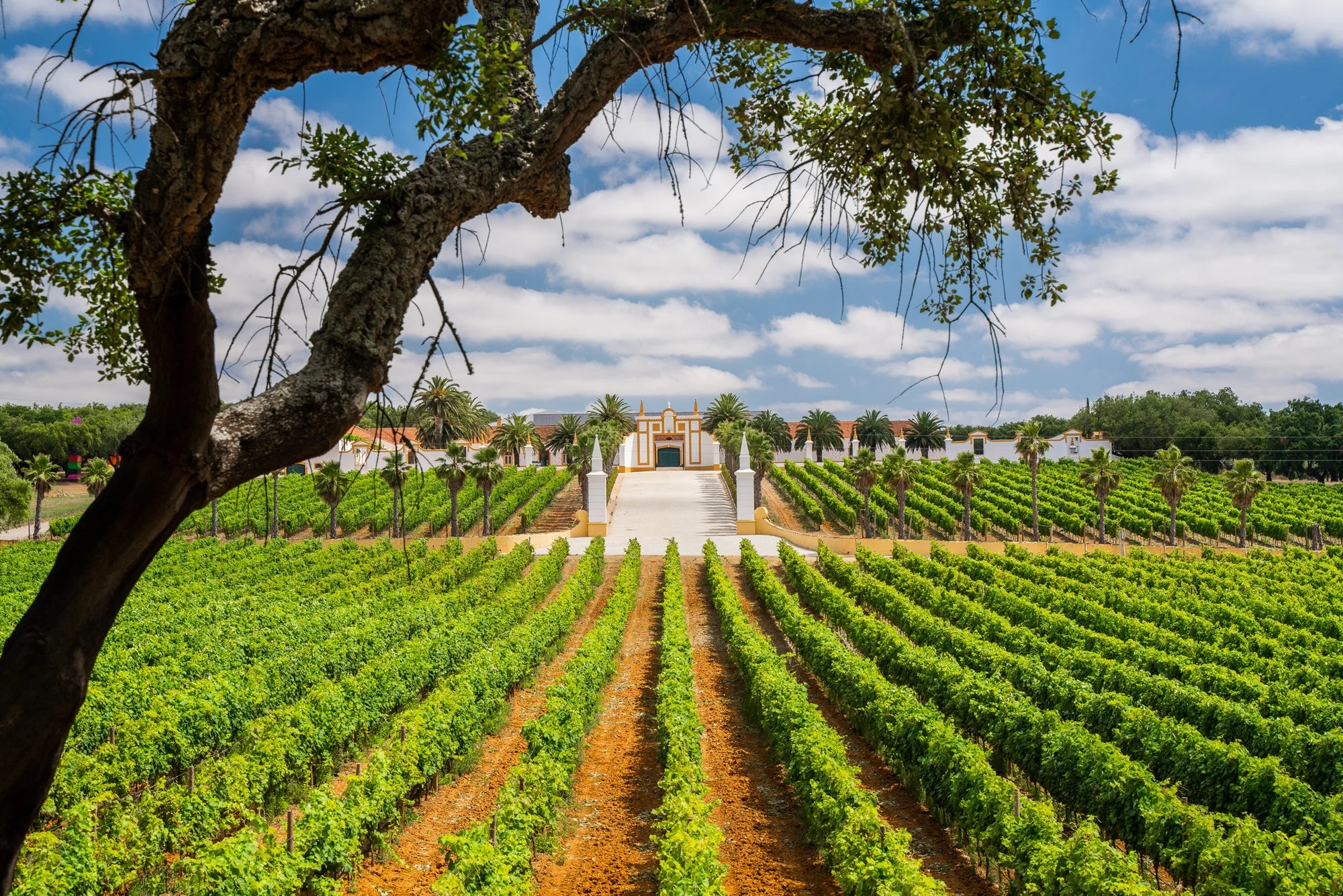 Quinta do Carmo