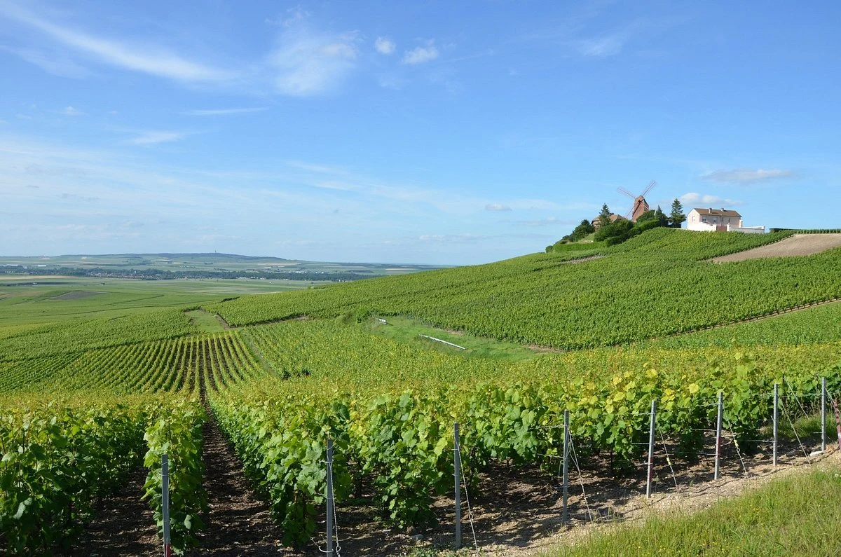 Champagne Lucien Roguet