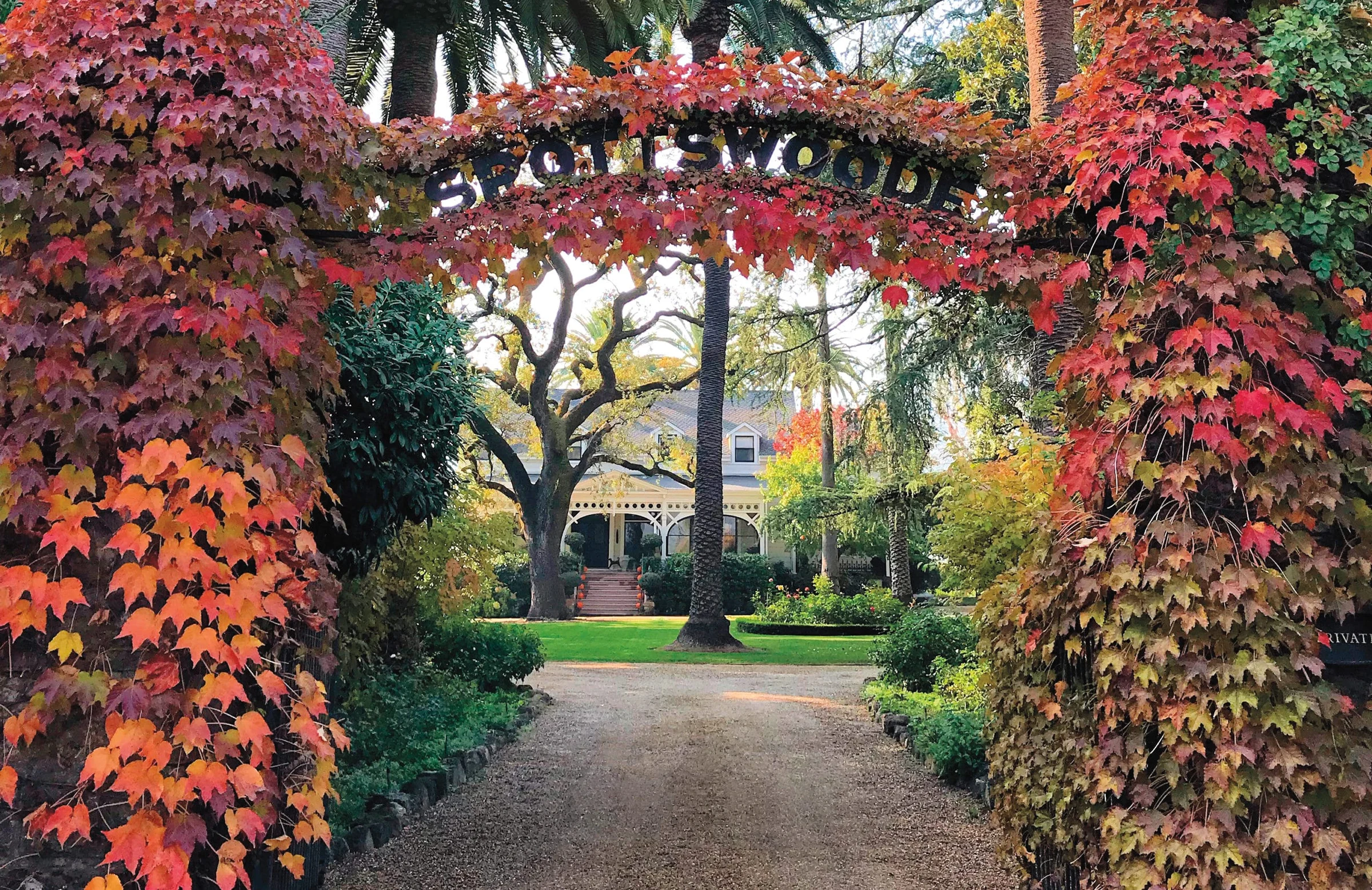 Spottswoode Winery