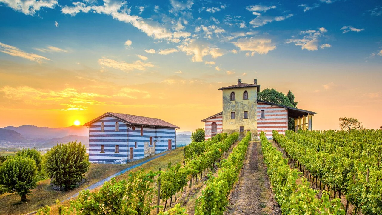 Berlucchi Franciacorta