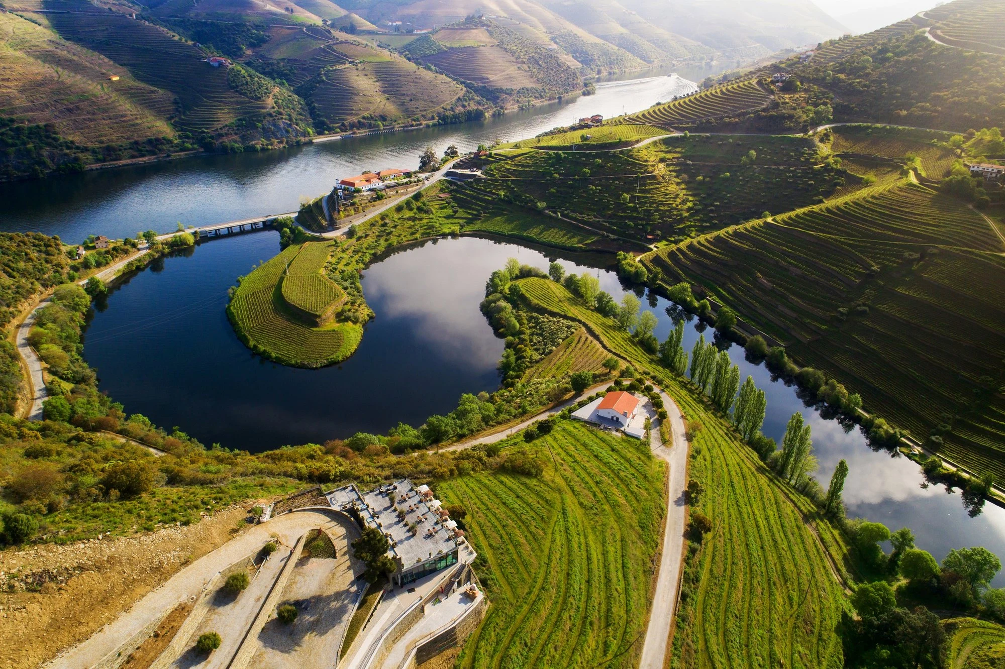 Chronicle Vineyards
