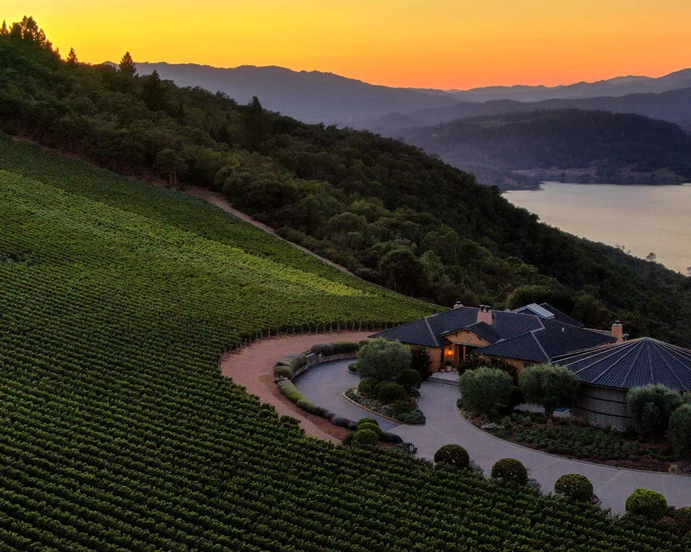Colgin Cellars