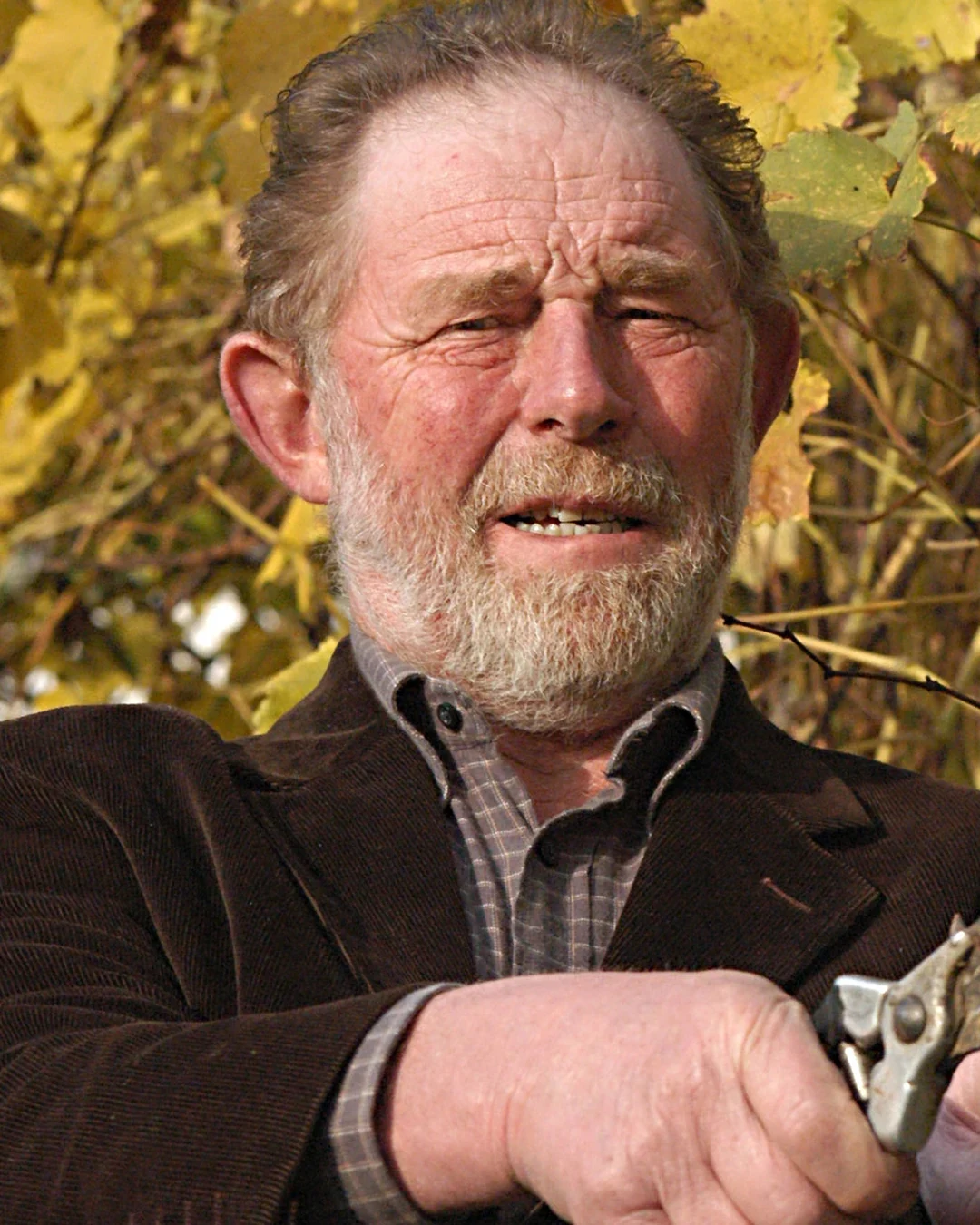 Firmino Miotti