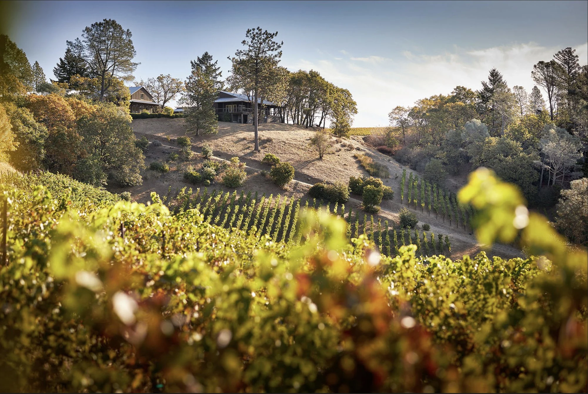 Outpost Wines