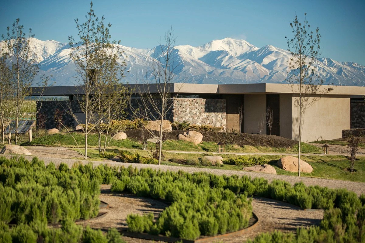 Bodega Viñas Don Martin