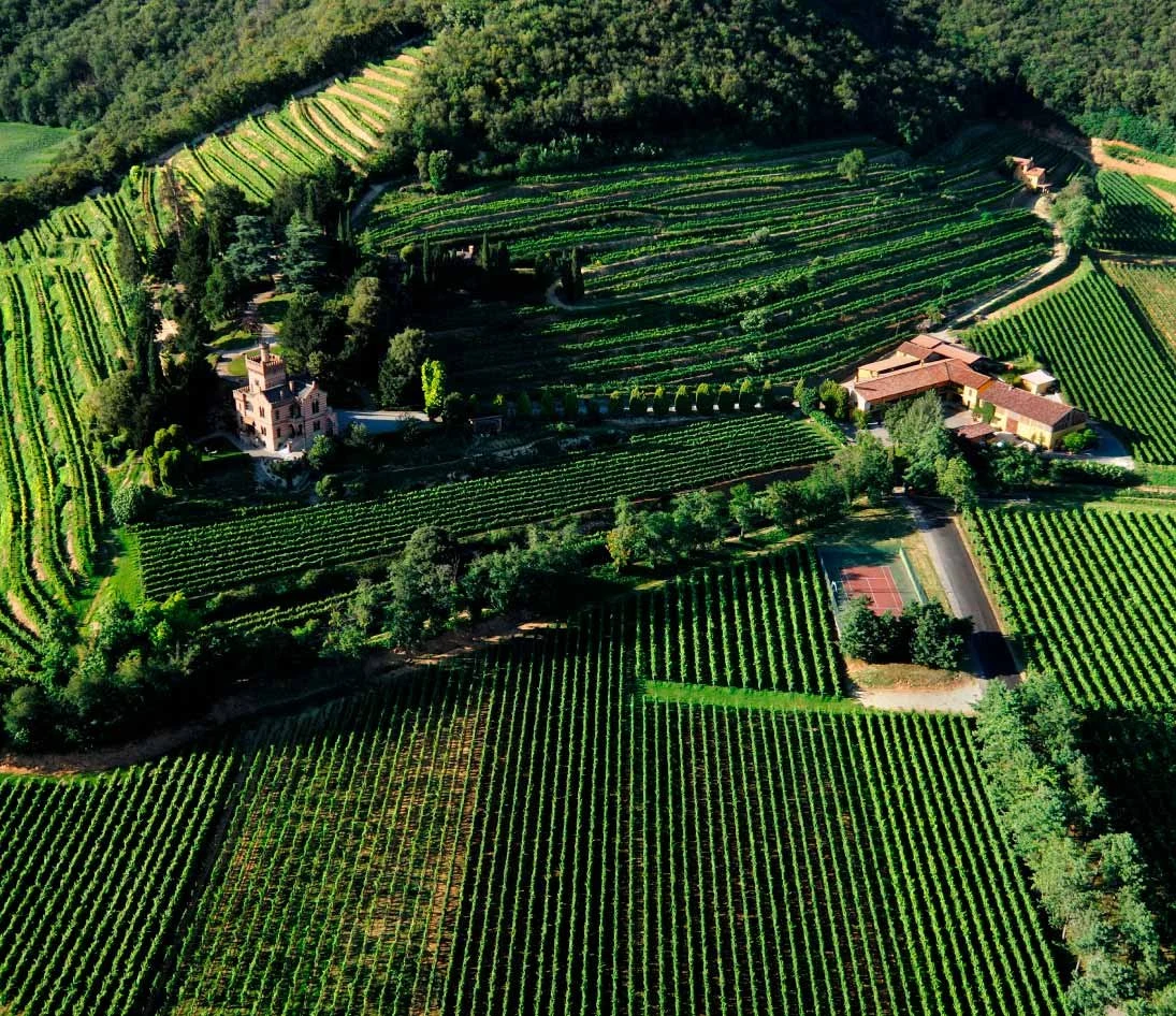 Castello Bonomi