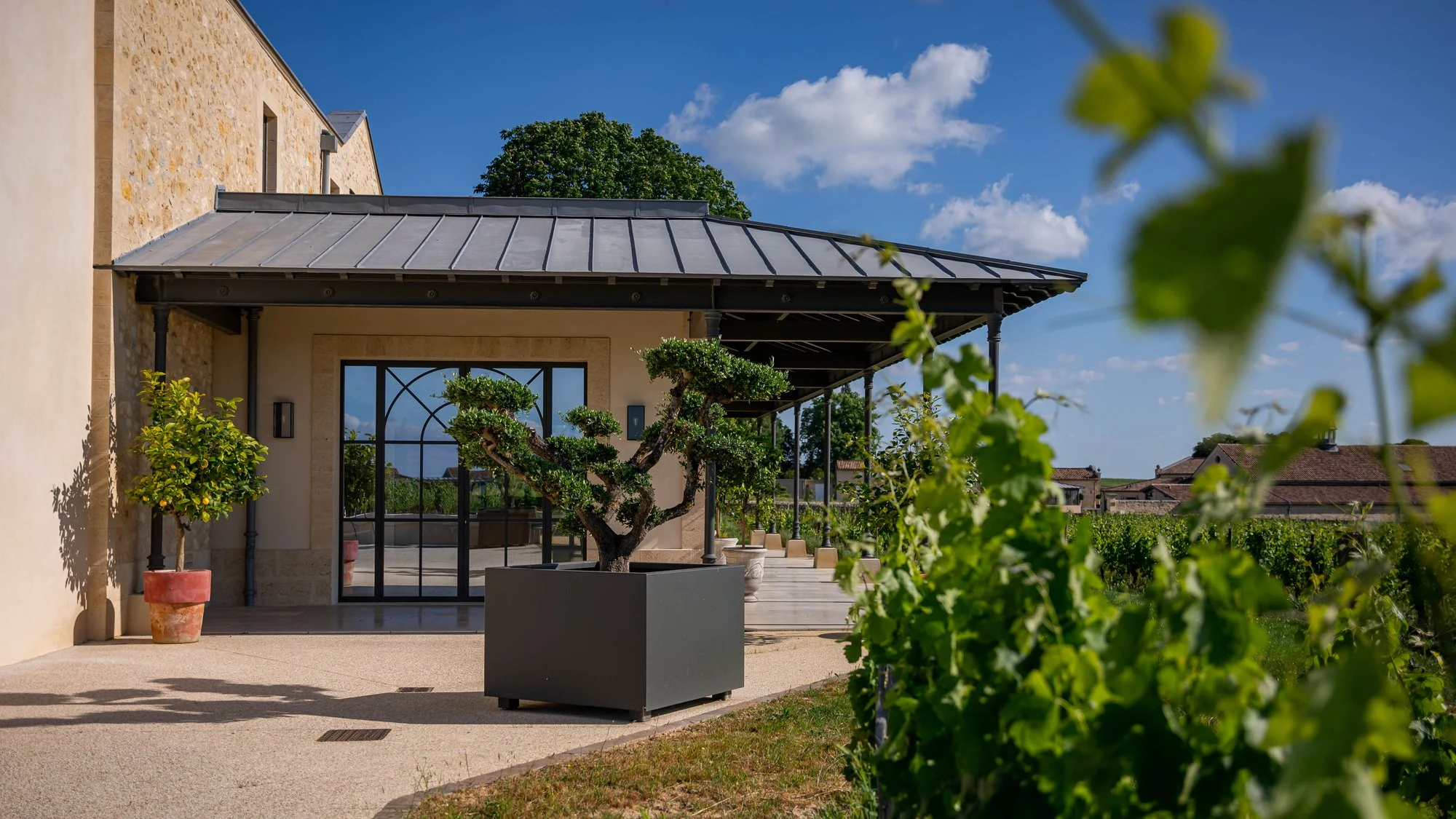 Château Larmande