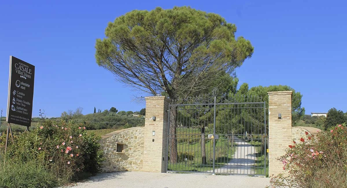 Cantina Daniele Rossi