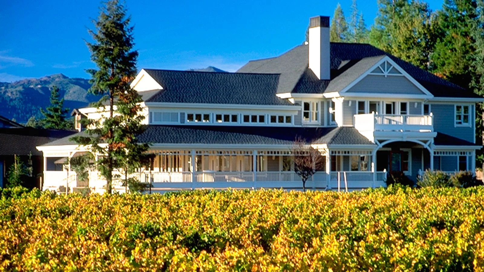 Duckhorn Vineyards