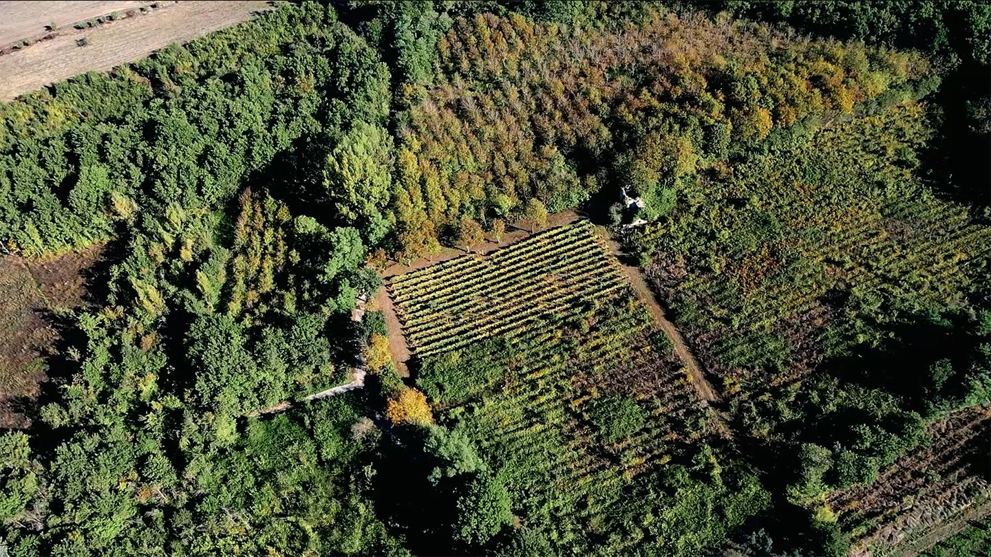 Tenuta Madre