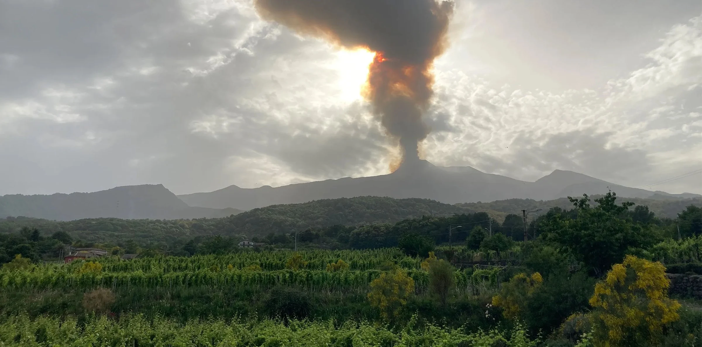 I Vigneri di Salvo Foti