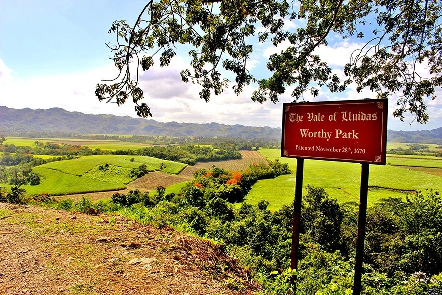 Worthy Park Estate