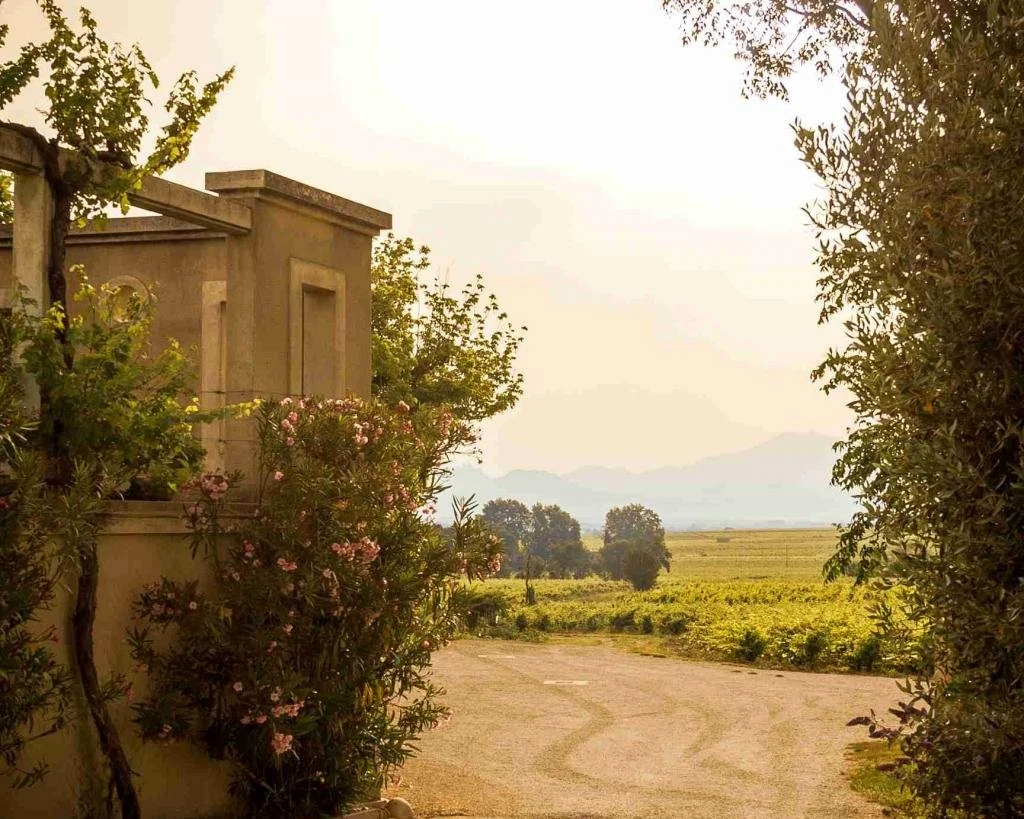 Domaine Saint Siffrein