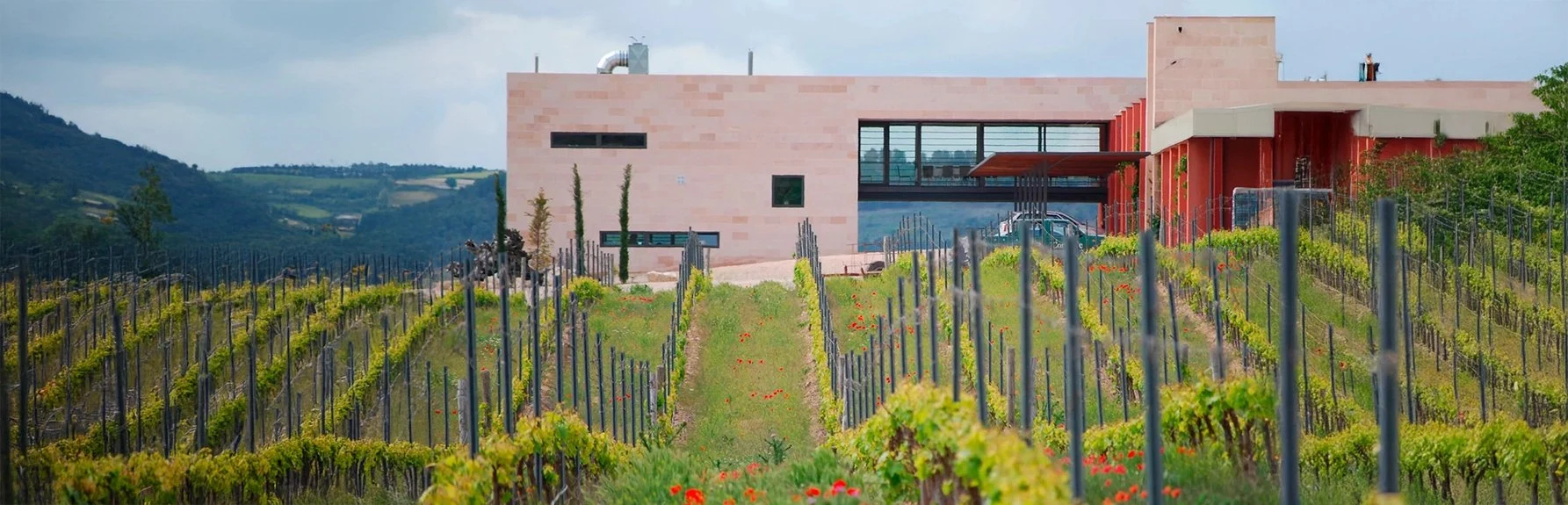 Bodegas Comenge