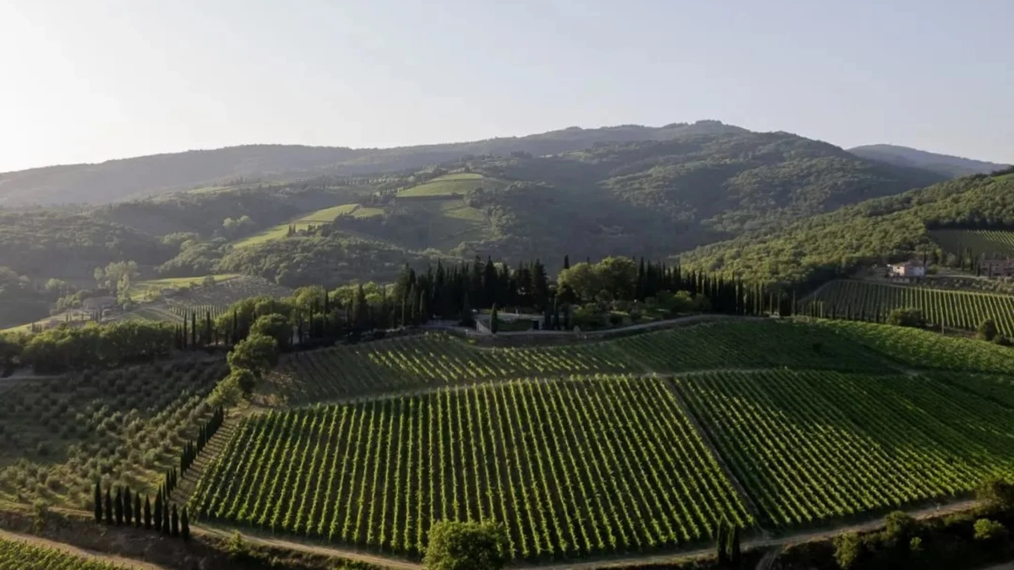 Montevertine