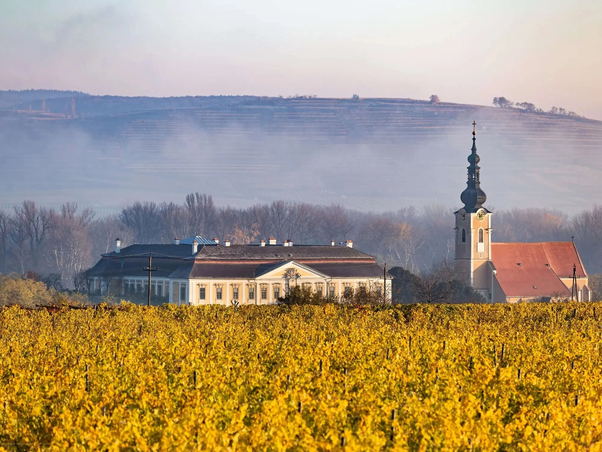 Schloss Gobelsburg (Weingut)