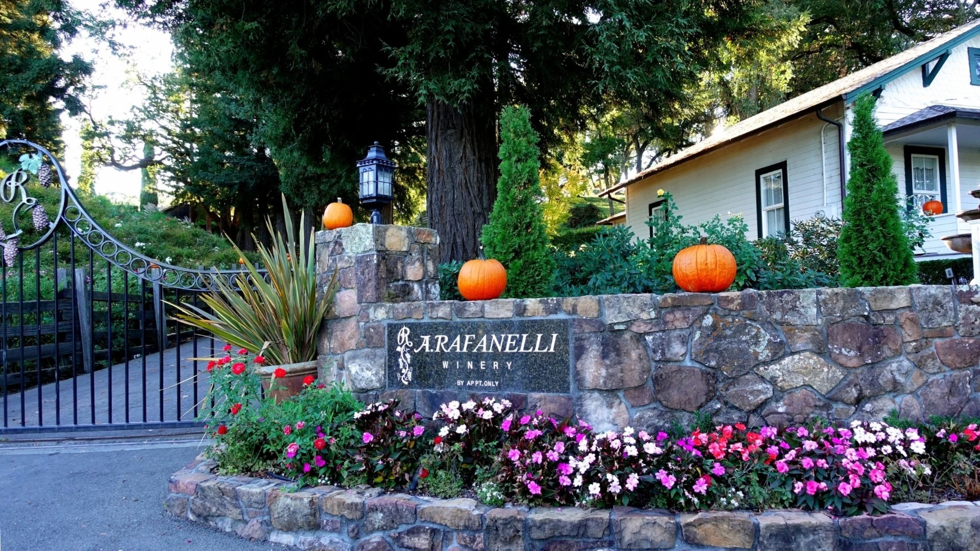A. Rafanelli Winery