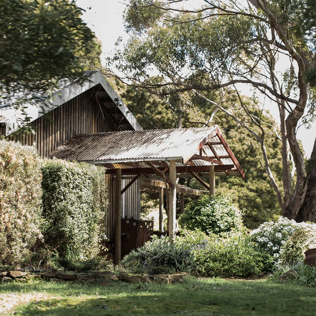 Delamere Vineyards