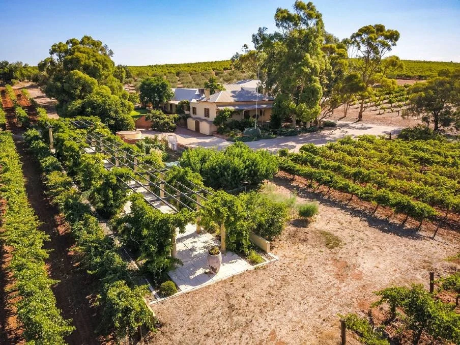 Greenock Creek Wines