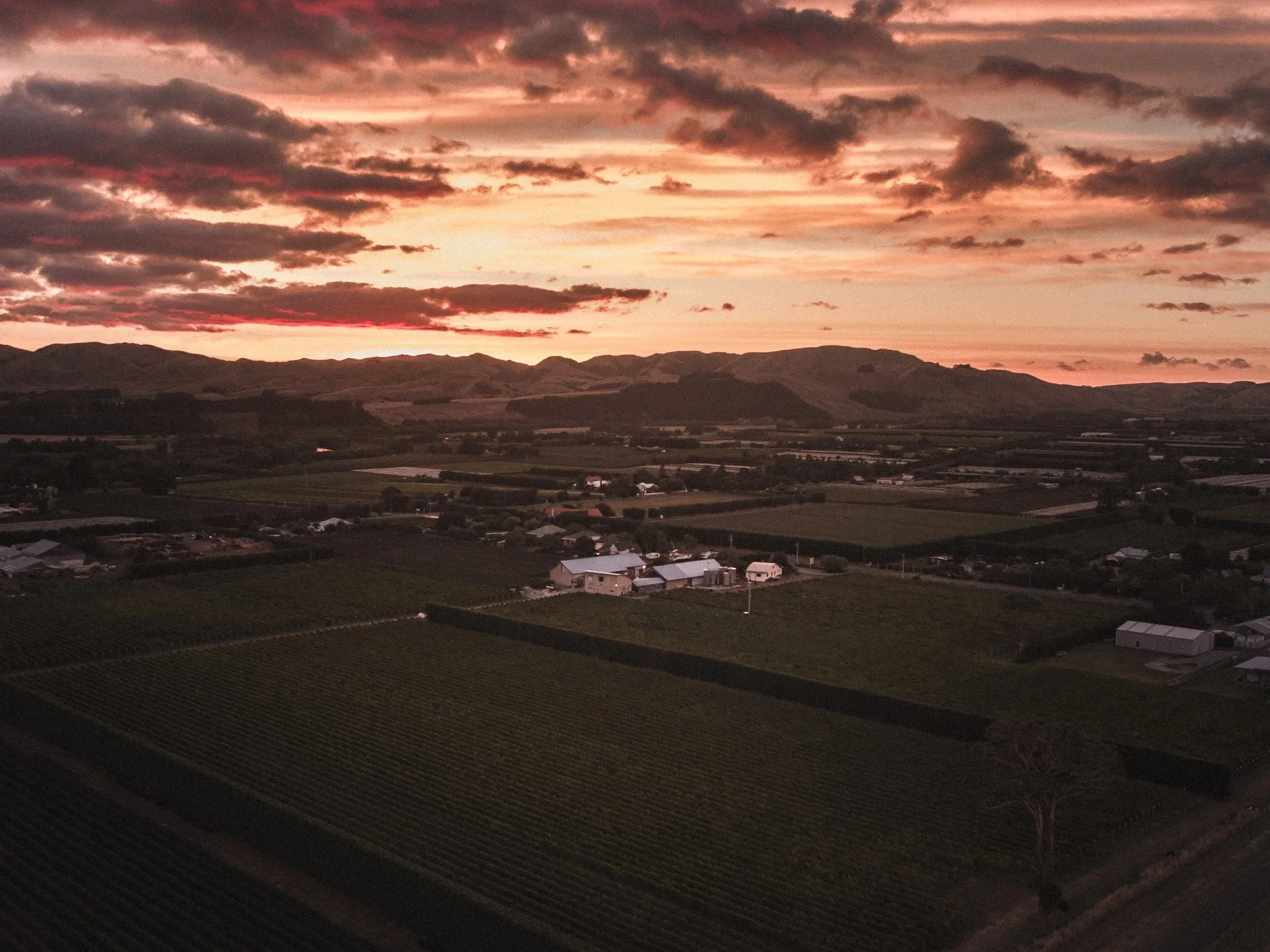 Martinborough Vineyard