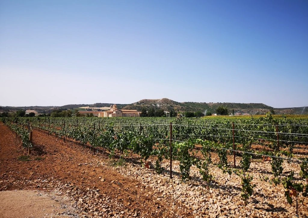 Bodegas Baden Numen