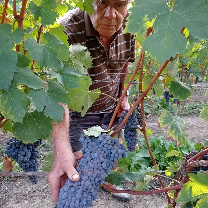 Claudio Mo