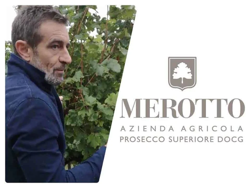 Mark Merotto