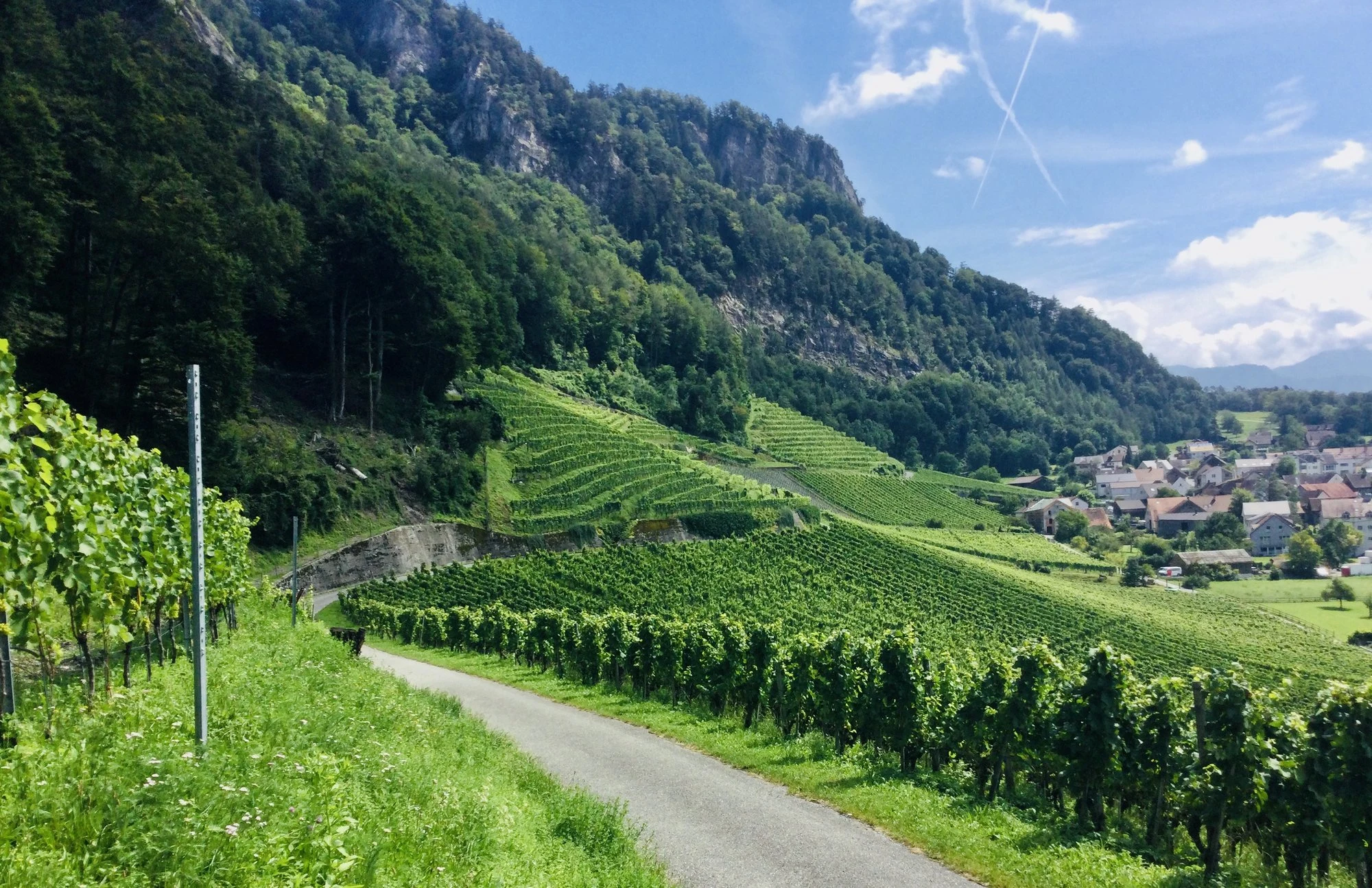 Weingut Roman Hermann