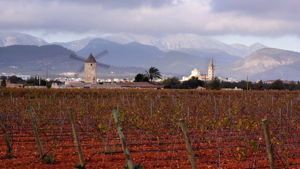Bodegas Biniagual