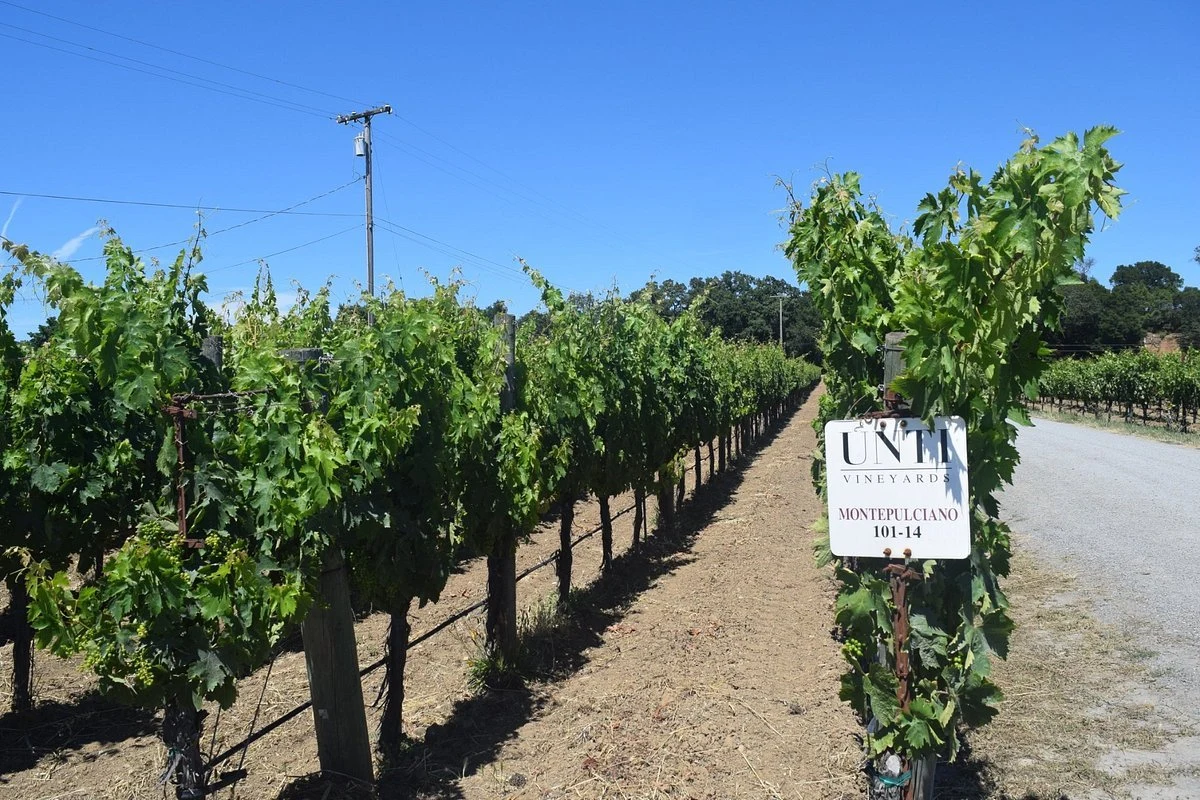 Unti Vineyards